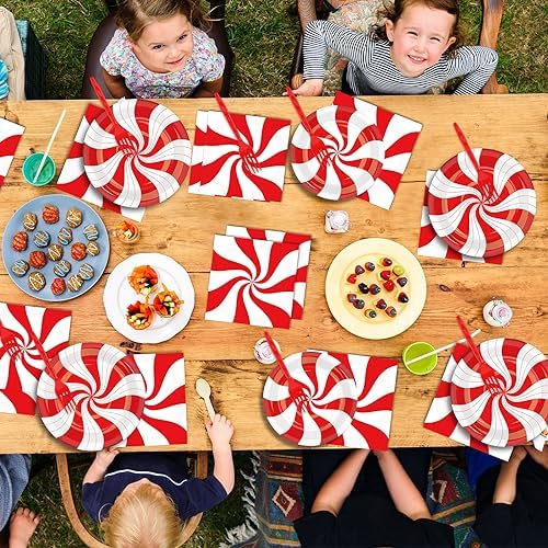 100Pcs Christmas Peppermint Paper Plates and Napkins Party Supplies Candy Cane Party Tableware Set Red and White Striped Christmas Winter Party Decor Favors for Holiday Xmas Theme Party Serves 25 - Image 6