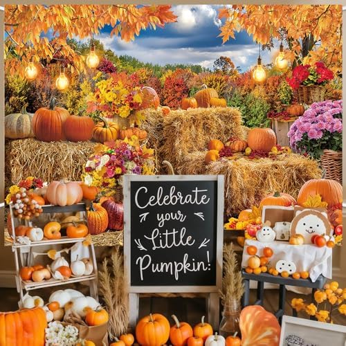 Autumn Pumpkin Backdrop Hay Bale Farm Fall Harvest Photography Background - Image 5