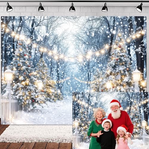 Winter Snowy Scene Forest Scene Backdrop Christmas Wonderland Snowflake Xmas Trees Landscape Photography Background for Family Holiday Party Decorations Banner Photo Studio Prop 7X5FT by Unknown
