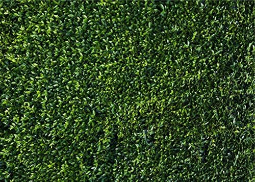 Nature Spring 3D Green Leaves Theme Photo Background Wedding Birthday Party Newborn Baby Shower Photography Backdrops Zoo Decor Shoot Props Bannner (7x5 FT) - Image 7