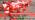 SmilingTown 15 Packs 20 Led Red Fairy Lights Battery Operated 6.6ft Silver String Lights Waterproof Firefly Starry Light for Bedroom Dorm DIY Table Centerpieces Halloween Christmas Party Decor - Image 7